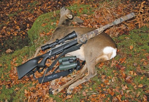 Hunting Story: Winter Stalking Roe - image {image:count}