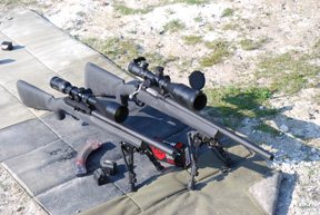 Ruger M77 Hawkeye and 10/22 Tacticals - image {image:count}