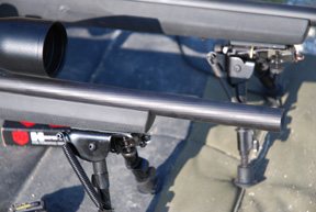 Ruger M77 Hawkeye and 10/22 Tacticals - image {image:count}