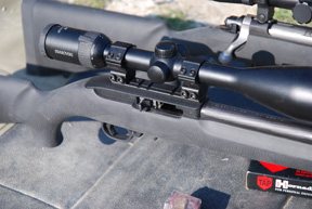 Ruger M77 Hawkeye and 10/22 Tacticals - image {image:count}