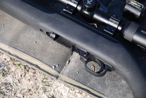 Ruger M77 Hawkeye and 10/22 Tacticals - image {image:count}