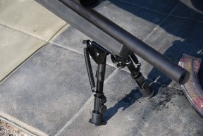 Ruger M77 Hawkeye and 10/22 Tacticals - image {image:count}