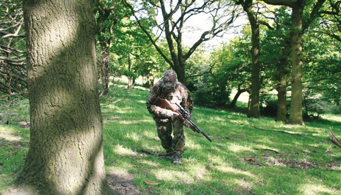 Airgun Hunter: Summer Rabbits - image {image:count}