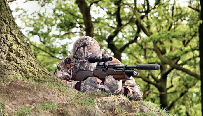 Airgun Hunter: Summer Rabbits