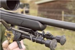 Begara B14 Sporter - image {image:count}