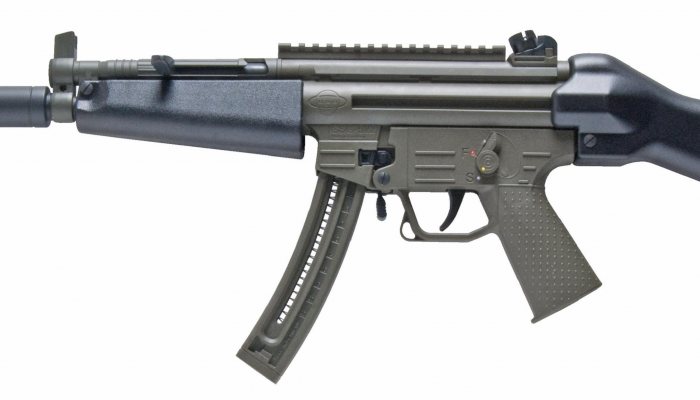 German sport gun visit - image {image:count}