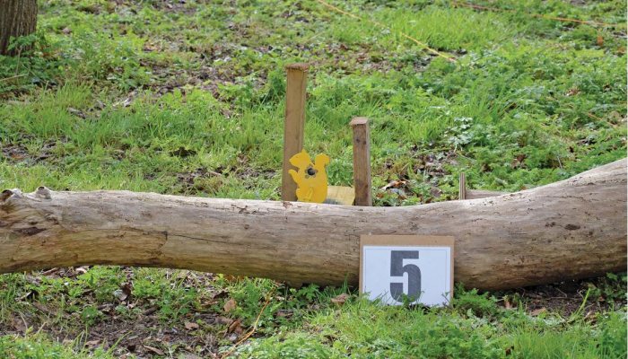 HFT Diary: Discipline Shots - image {image:count}