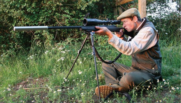 Hunting Story: A Mixed Bag - image {image:count}