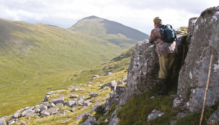 Hunting Story: Red Deer - image {image:count}
