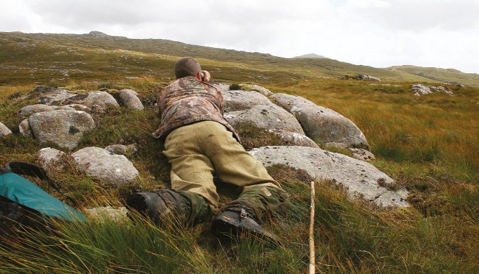 Hunting Story: Red Deer - image {image:count}