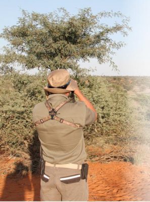 Hunting Story: Spring Bok in the Kalahari - image {image:count}