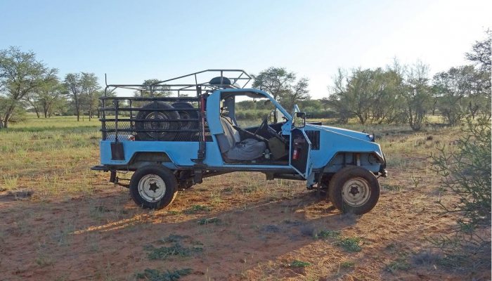 Hunting Story: Spring Bok in the Kalahari - image {image:count}