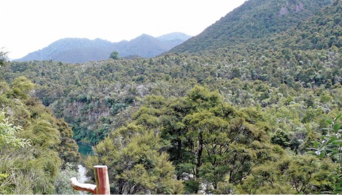 Hunting in New Zealand - image {image:count}