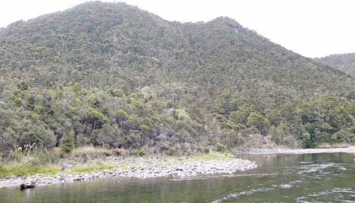 Hunting in New Zealand - image {image:count}