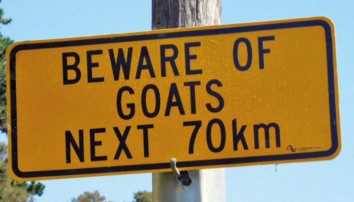 Hunting in New Zealand - image {image:count}