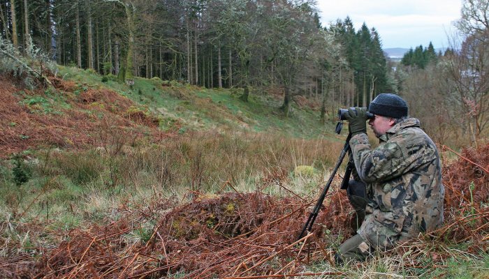 Hunting story: Roe deer stalking - image {image:count}