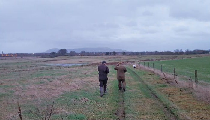 Hunting story: My first fox - part 1 - image {image:count}