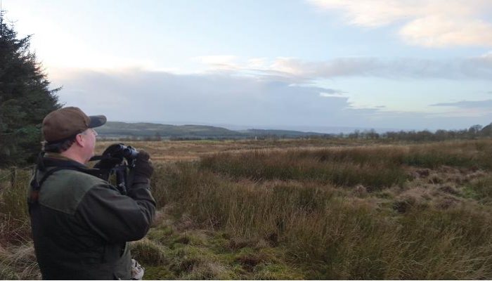 Hunting story: My first fox - part 2 - image {image:count}