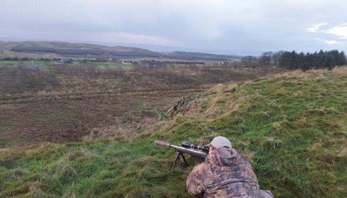 Hunting story: My first fox - part 2 - image {image:count}