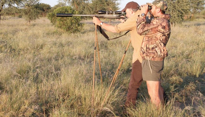 Namibia II kudu and impala - image {image:count}