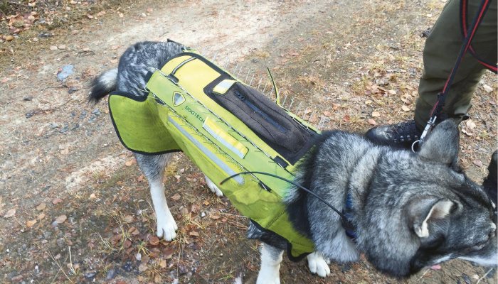 Norma moose hunt Norma/RUAG PM - image {image:count}