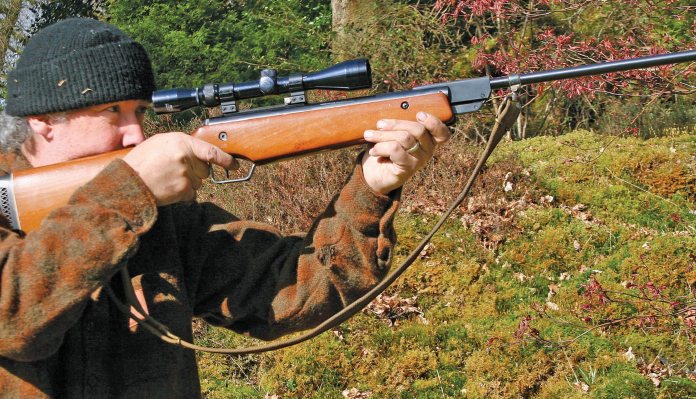 Original 45 air rifle