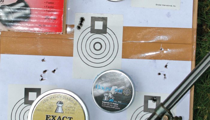 Original 45 air rifle - image {image:count}
