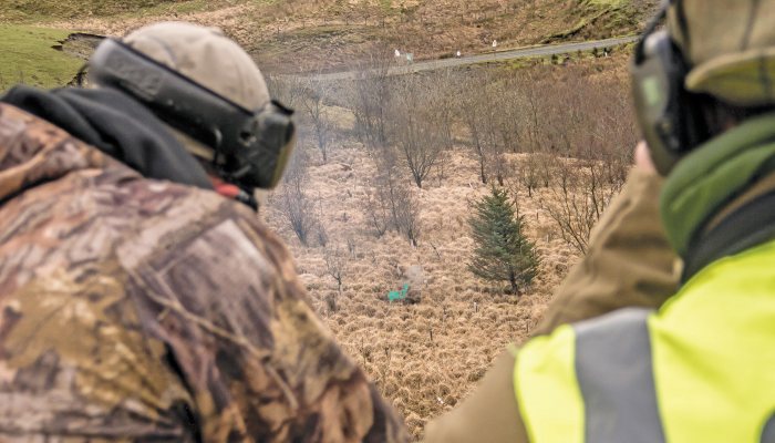 Orion Firearms simulated stalking course - image {image:count}