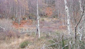 Pest Control Diary: Up to Scotland