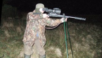 Pest Control Diary: The Five Week Battle
