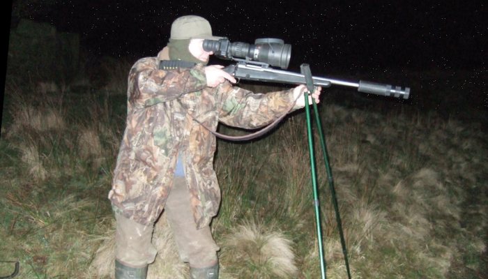 Pest Control Diary: The Five Week Battle - image {image:count}