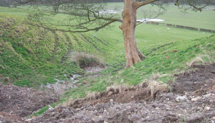Pest Control Diary: Protecting the Lambs - image {image:count}