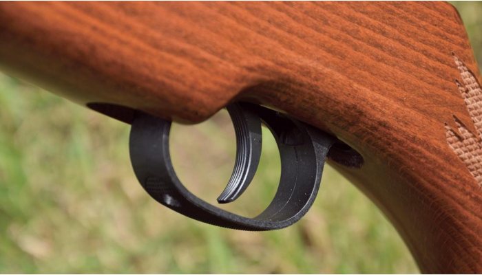 Remington Express air rifle (SMK) - image {image:count}