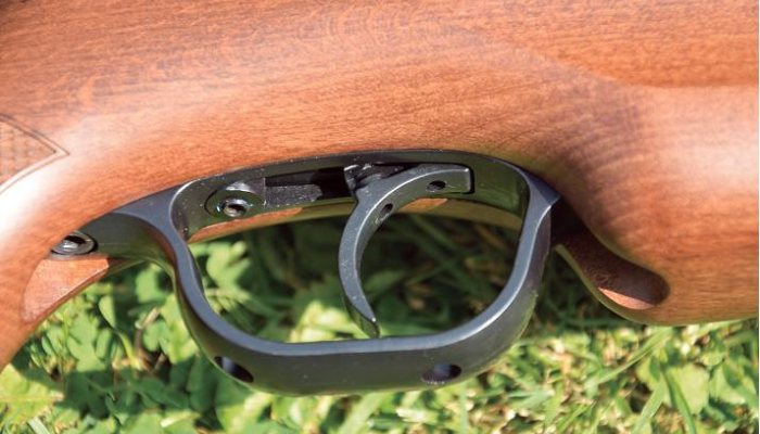 Walther LGU Master - image {image:count}