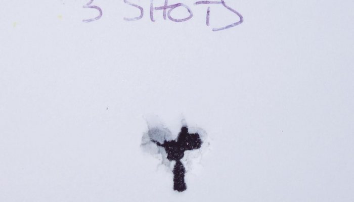 Walther LGU Varmint - image {image:count}