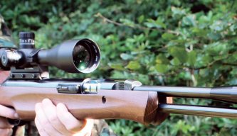 Walther LGU rifle