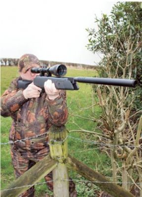 Webley Stingray Hunter - image {image:count}