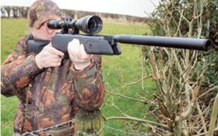 Webley Stingray Hunter