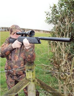 Webley Stingray Hunter