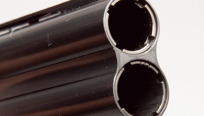 Beretta Silver Pigeon 1 - image {image:count}