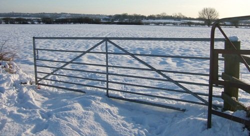 Airgun Hunter: Winter Rabbits with NV - image {image:count}