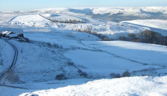 Pest Control Diary: Whatever the Weather