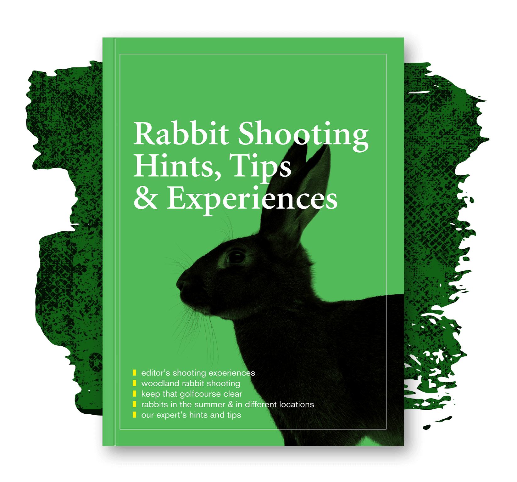 Rabbit Shooting, Hints, Tips & Experiences