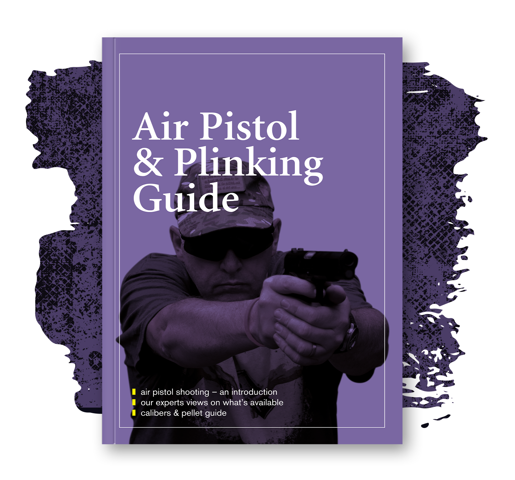 Air pistol and plinking guide