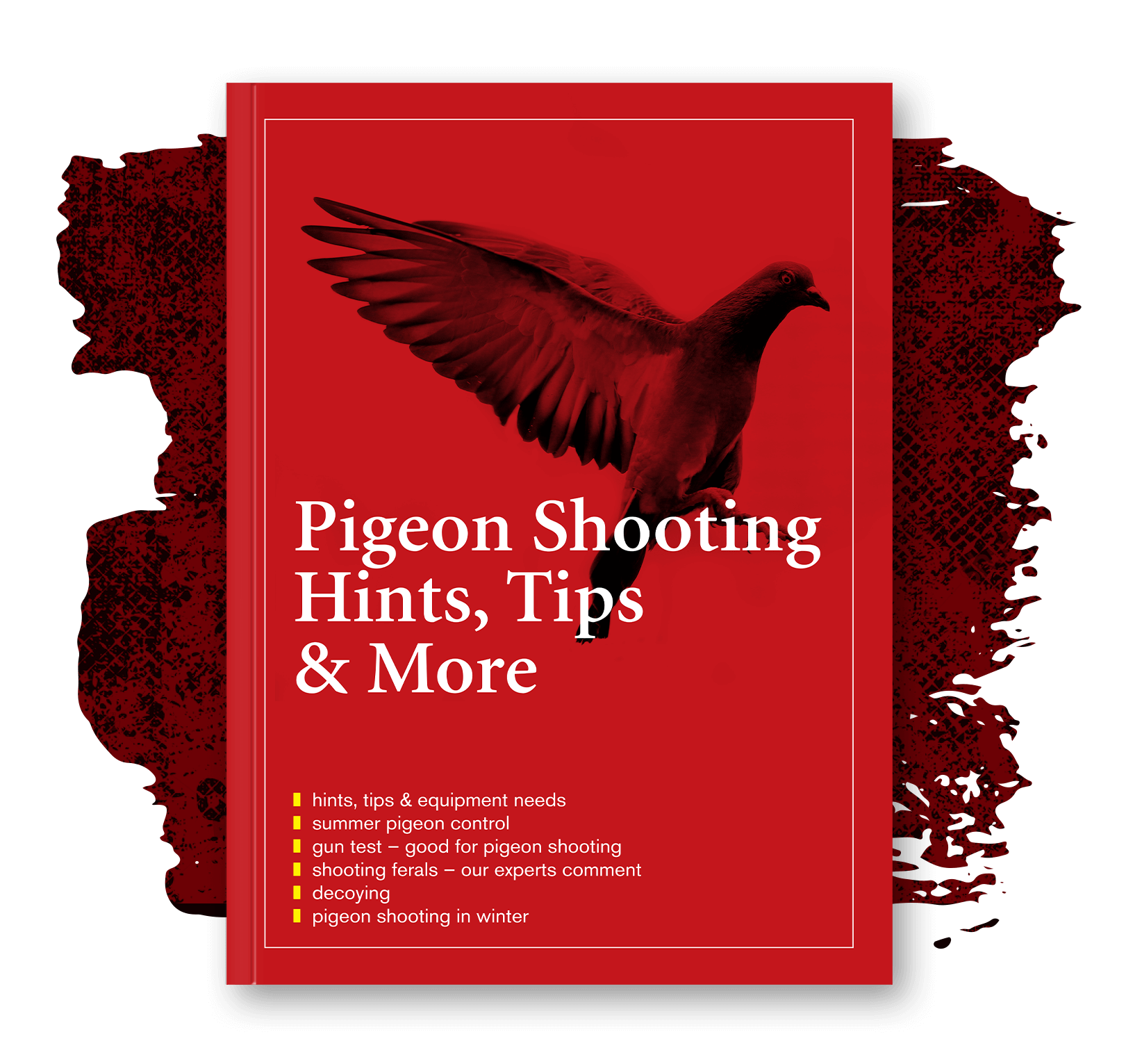 Pigeon shooting, hints, tips and more