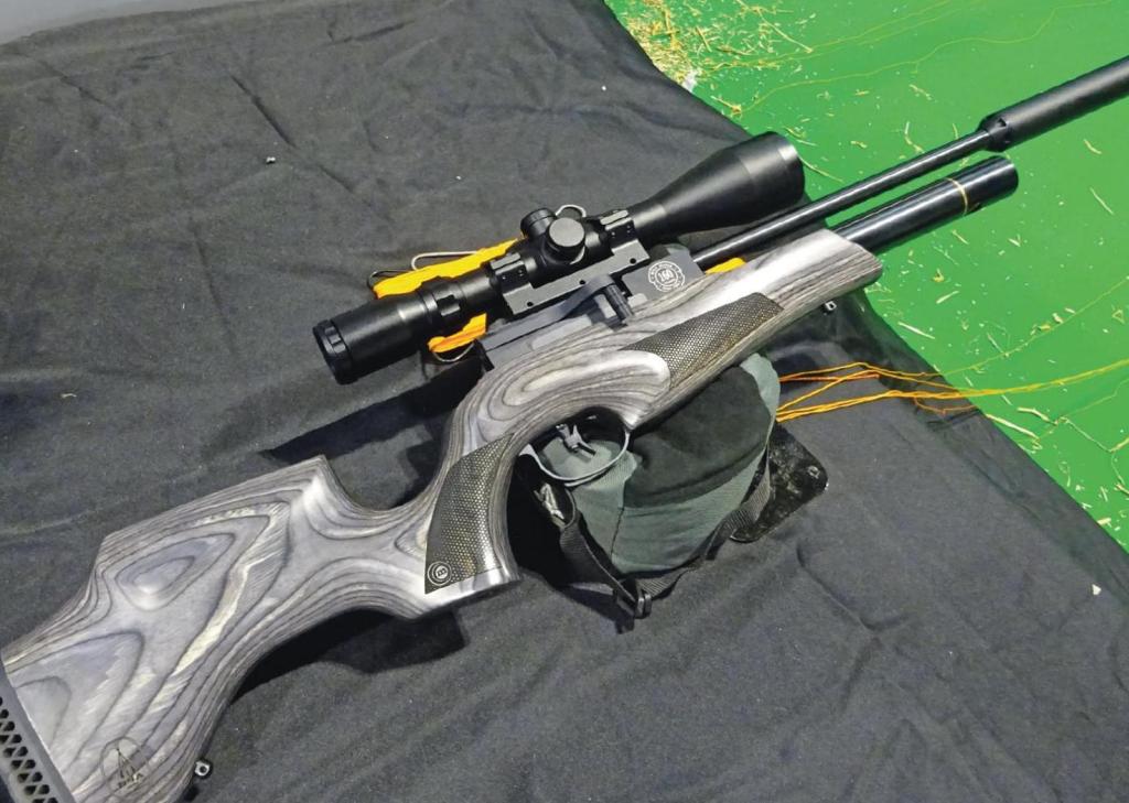 BSA GUNS