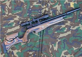 DAYSTATE RED WOLF Hi-LITE