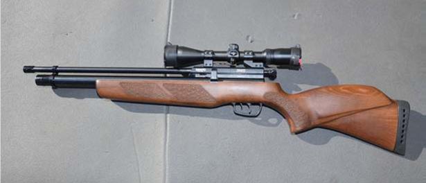 Gamo Coyote