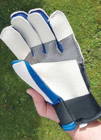 <h3>Target Glove</h3>