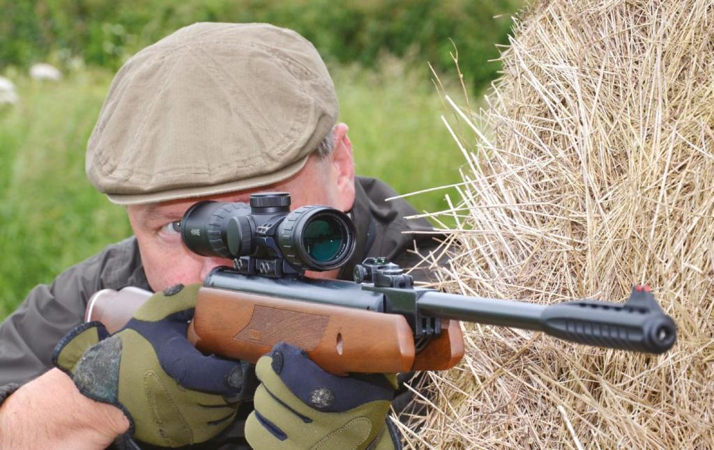 WEBLEY VMX Classic
